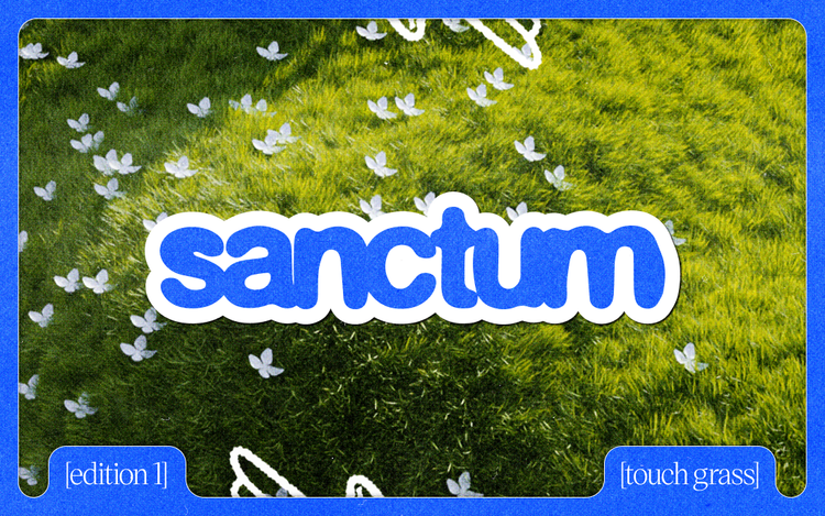 Touch Grass with Sanctum 🌱